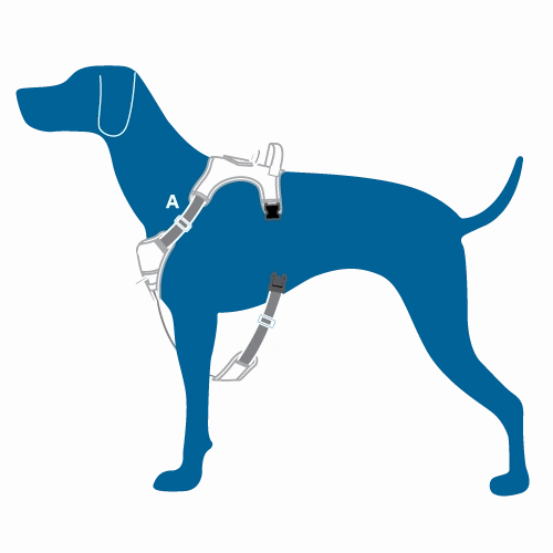 RC Pets Momentum Control Harness for Dogs in Purple