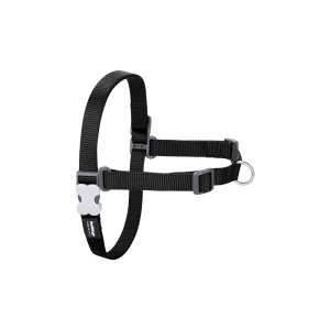 Red Dingo Dog No-Pull Harness - Black XS