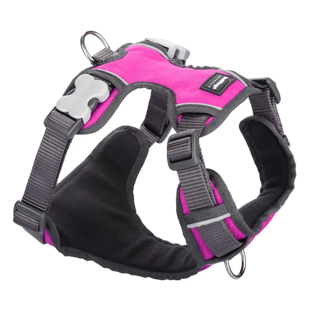 Red Dingo Padded Dog Harness (Small)