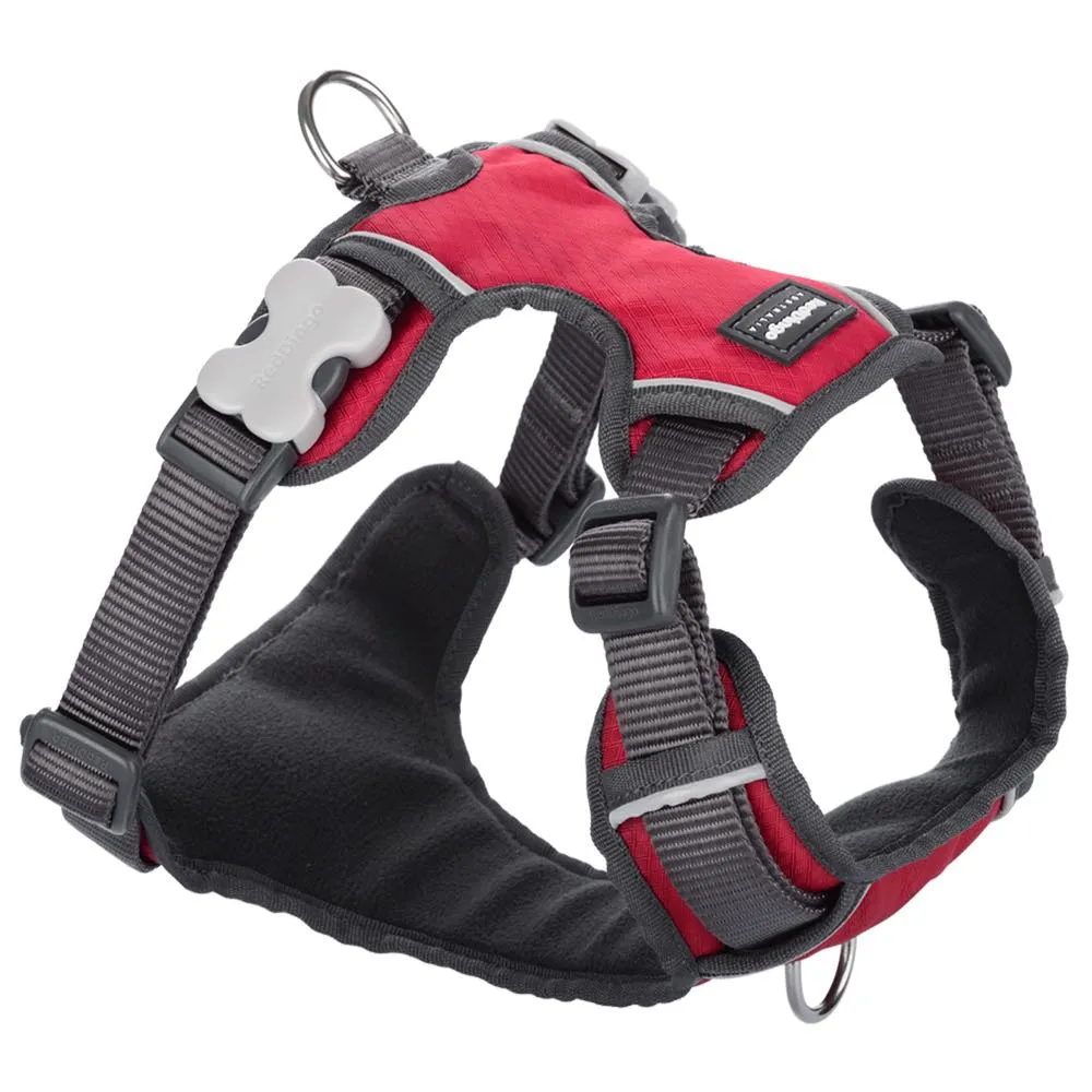 Red Dingo Padded Dog Harness (Small)