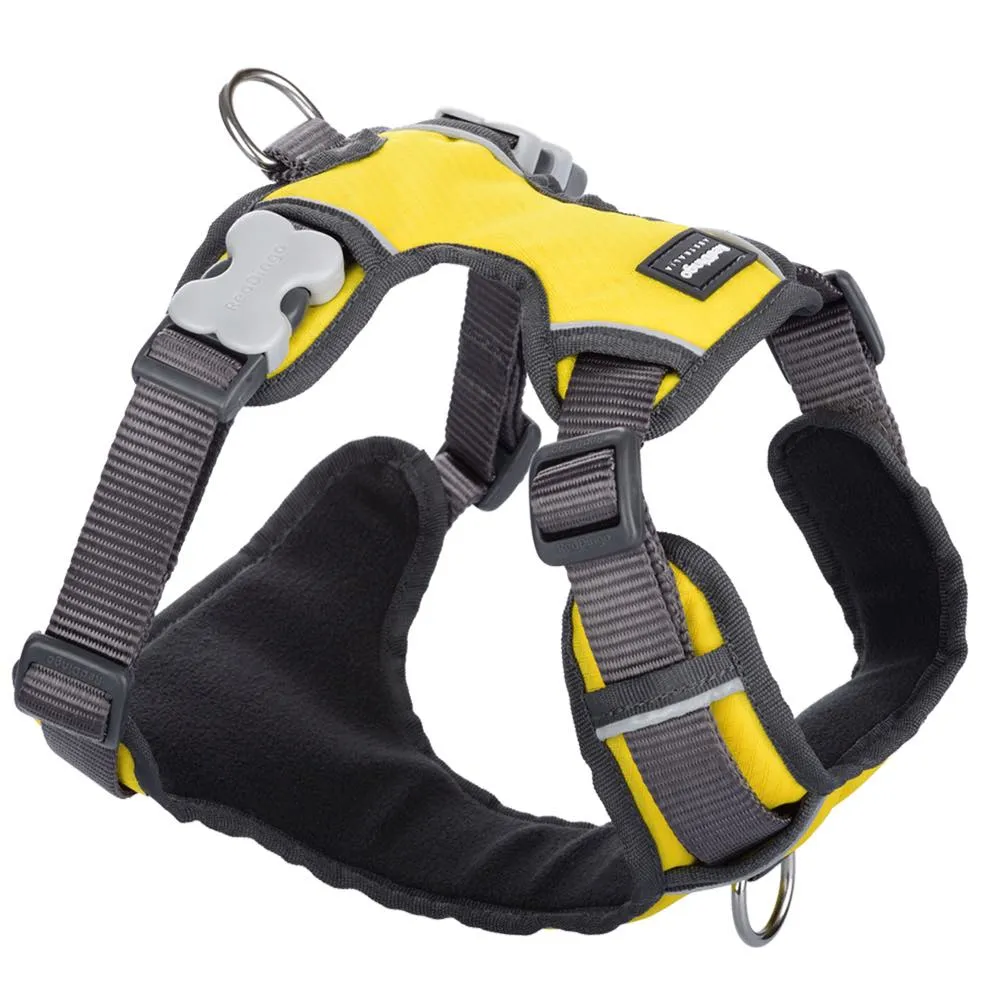 Red Dingo Padded Dog Harness (Small)