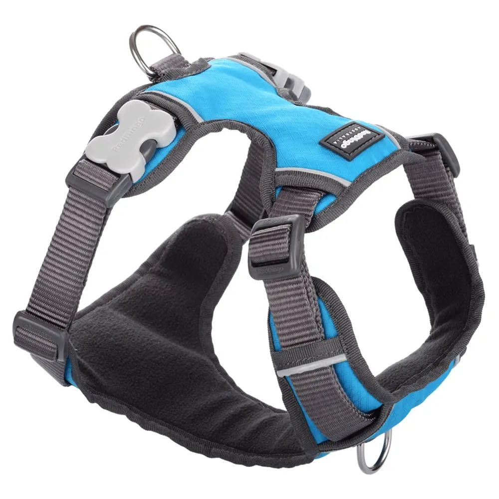 Red Dingo Padded Dog Harness (Small)