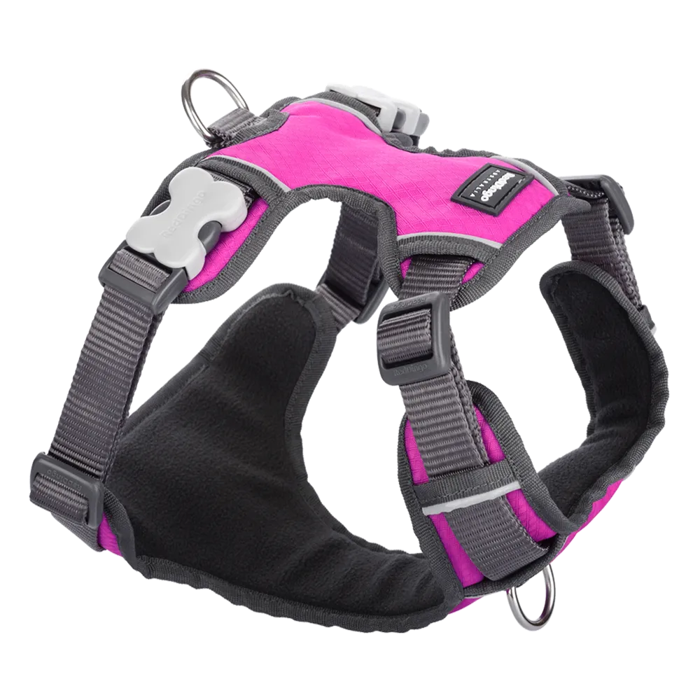 Red Dingo Padded Harness Hot Pink L