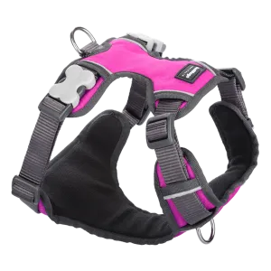 Red Dingo Padded Harness Hot Pink XS