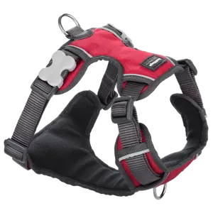 Red Dingo Padded Harness Red M