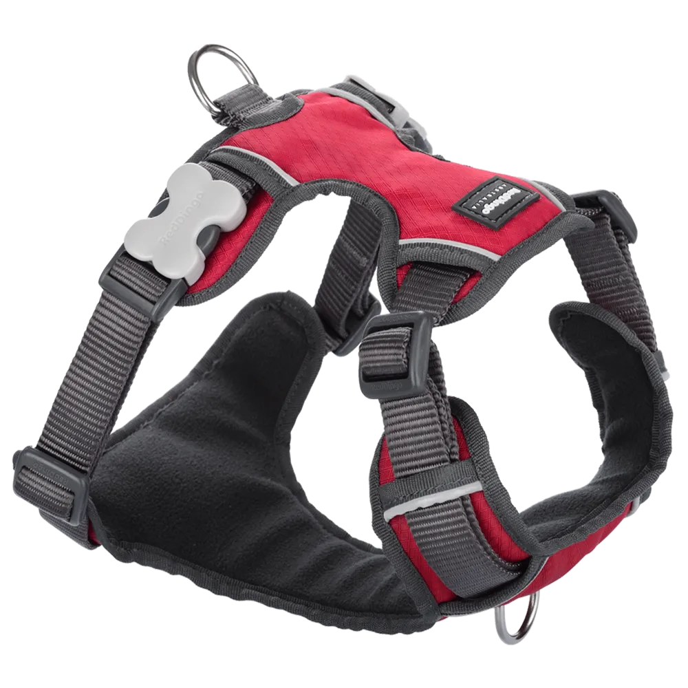 Red Dingo Padded Harness Red M