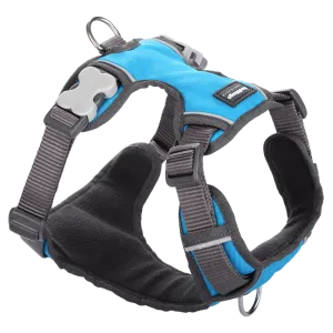 Red Dingo Padded Harness Turquoise L
