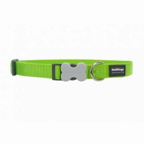 Red Dingo Dog Collar Lime Green (15mm x 24-36cm)