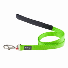 Red Dingo Dog Fixed Plain Lead Lime (15mm x 1.2m)