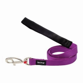 Red Dingo Dog Fixed Plain Lead Purple (20mm x 1.2m)