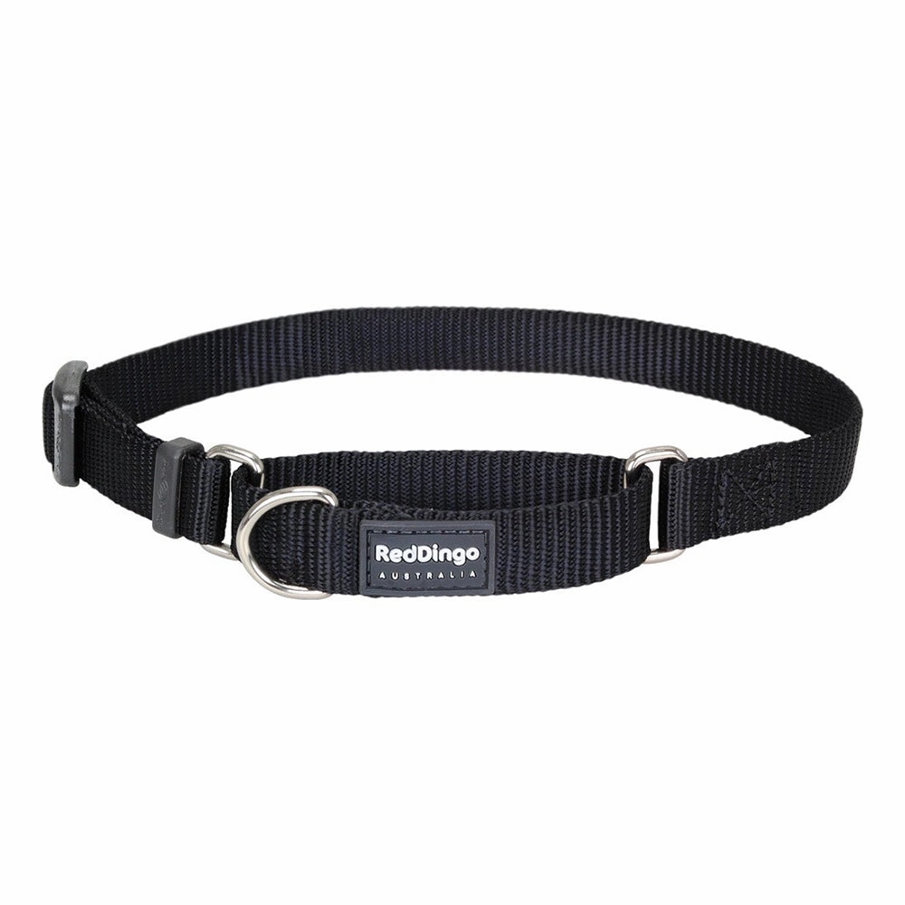 Red Dingo Dog Martingale Collar Black (12mm x 21-33cm)