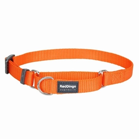 Red Dingo Dog Martingale Collar Orange (25mm x 41-63cm)