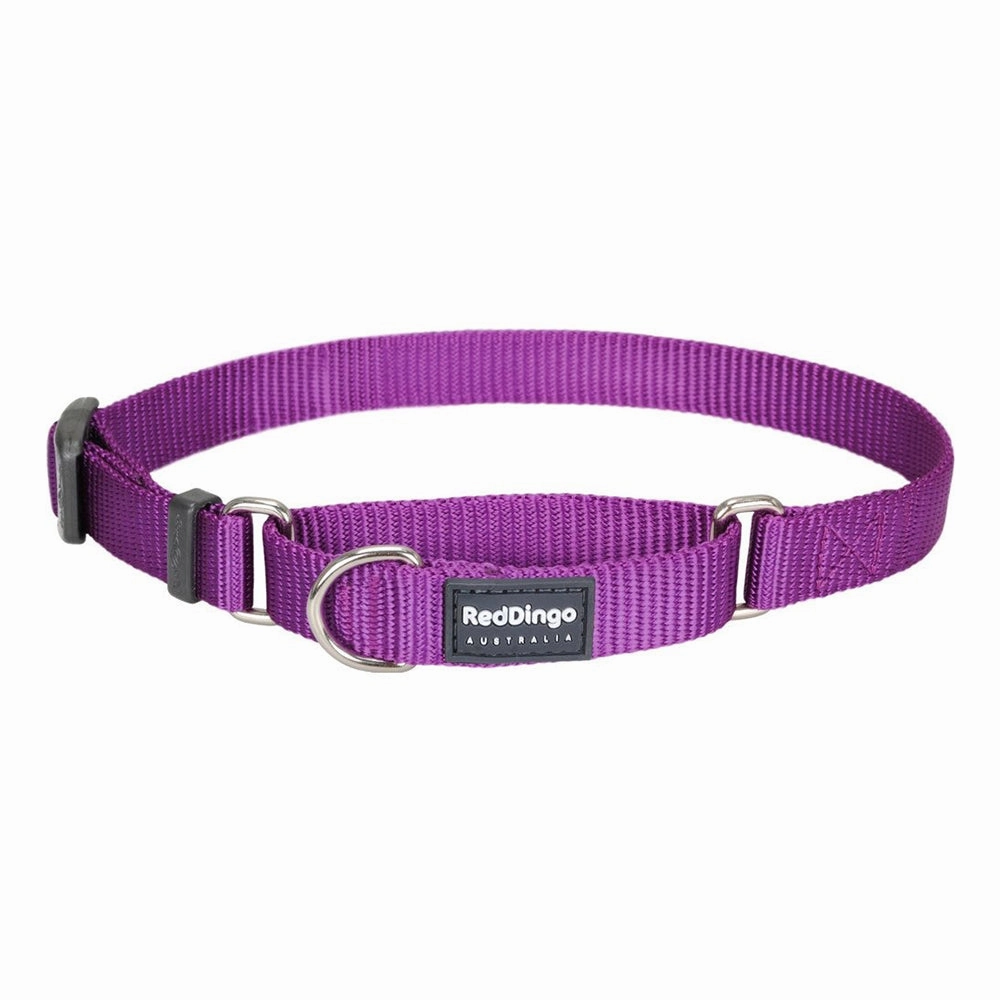 Red Dingo Dog Martingale Collar Purple (15mm x 24-36cm)