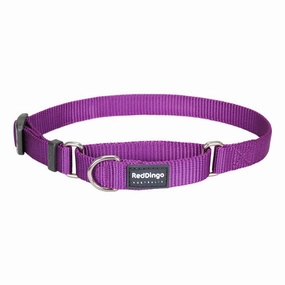 Red Dingo Dog Martingale Collar Purple (15mm x 24-36cm)