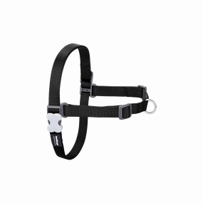Red Dingo Dog No-Pull Harness - Black XL