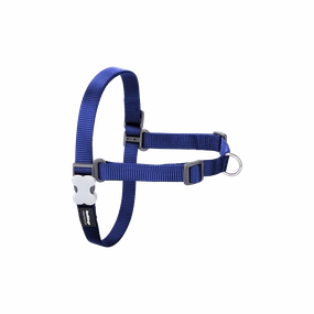 Red Dingo Dog No-Pull Harness - Dark Blue M/L
