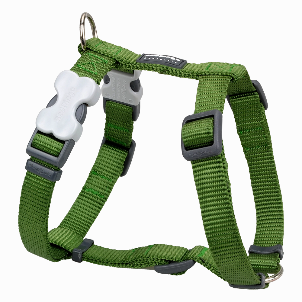 Red Dingo Dog Plain Harness Classic - Small Dark Green