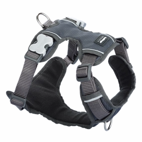 Red Dingo Padded Harness Grey XS