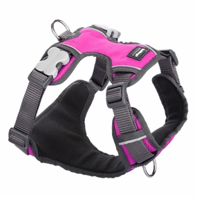 Red Dingo Padded Harness Hot Pink M