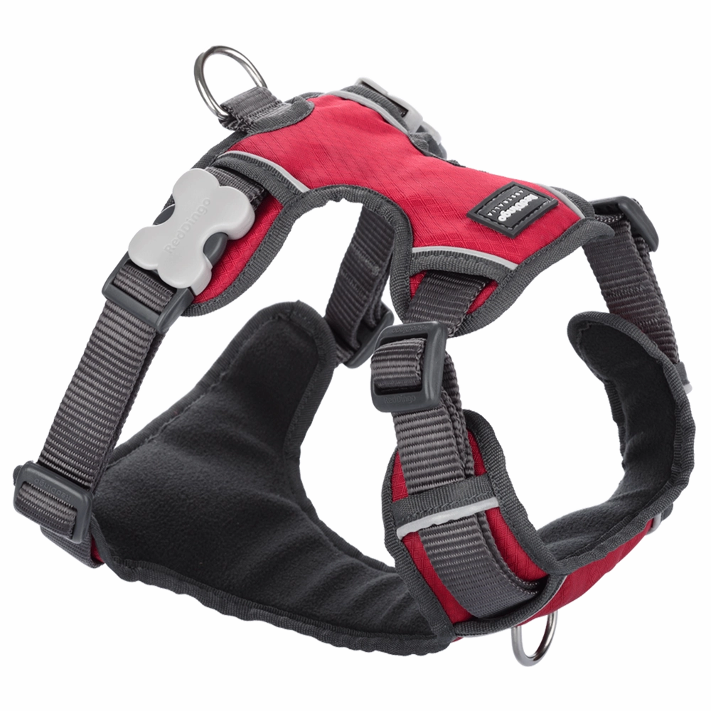 Red Dingo Padded Harness Red XS