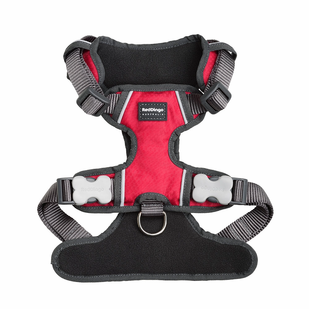 Red Dingo Padded Harness Red XS