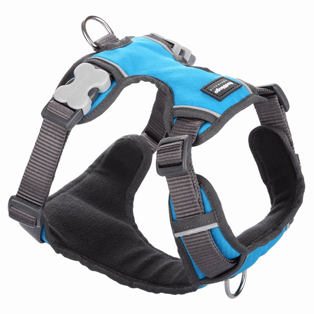Red Dingo Padded Harness Turquoise M