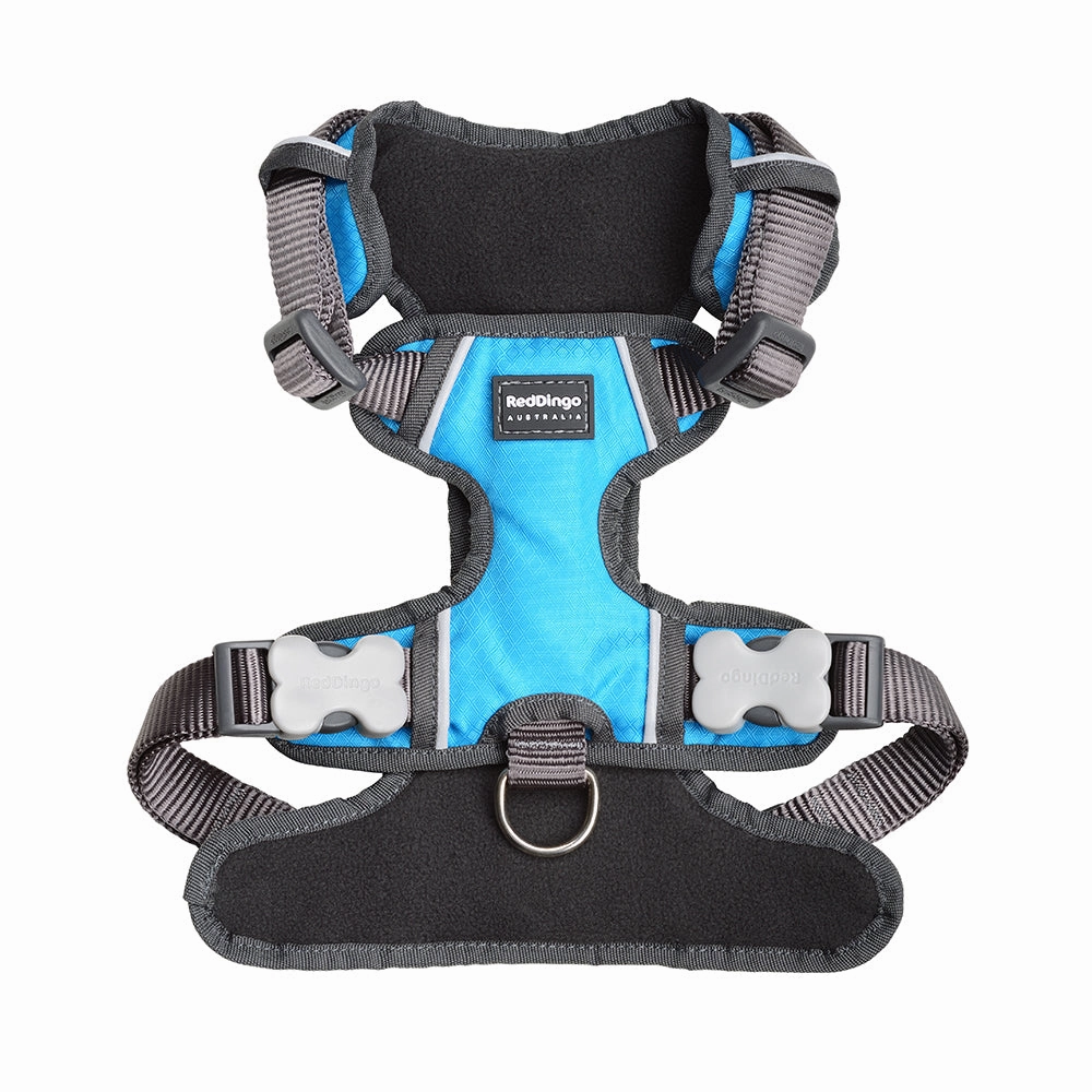 Red Dingo Padded Harness Turquoise XS