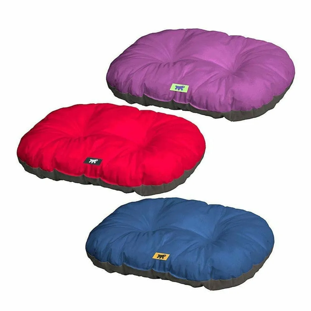 Relax 65/6 C Red Purple Blue