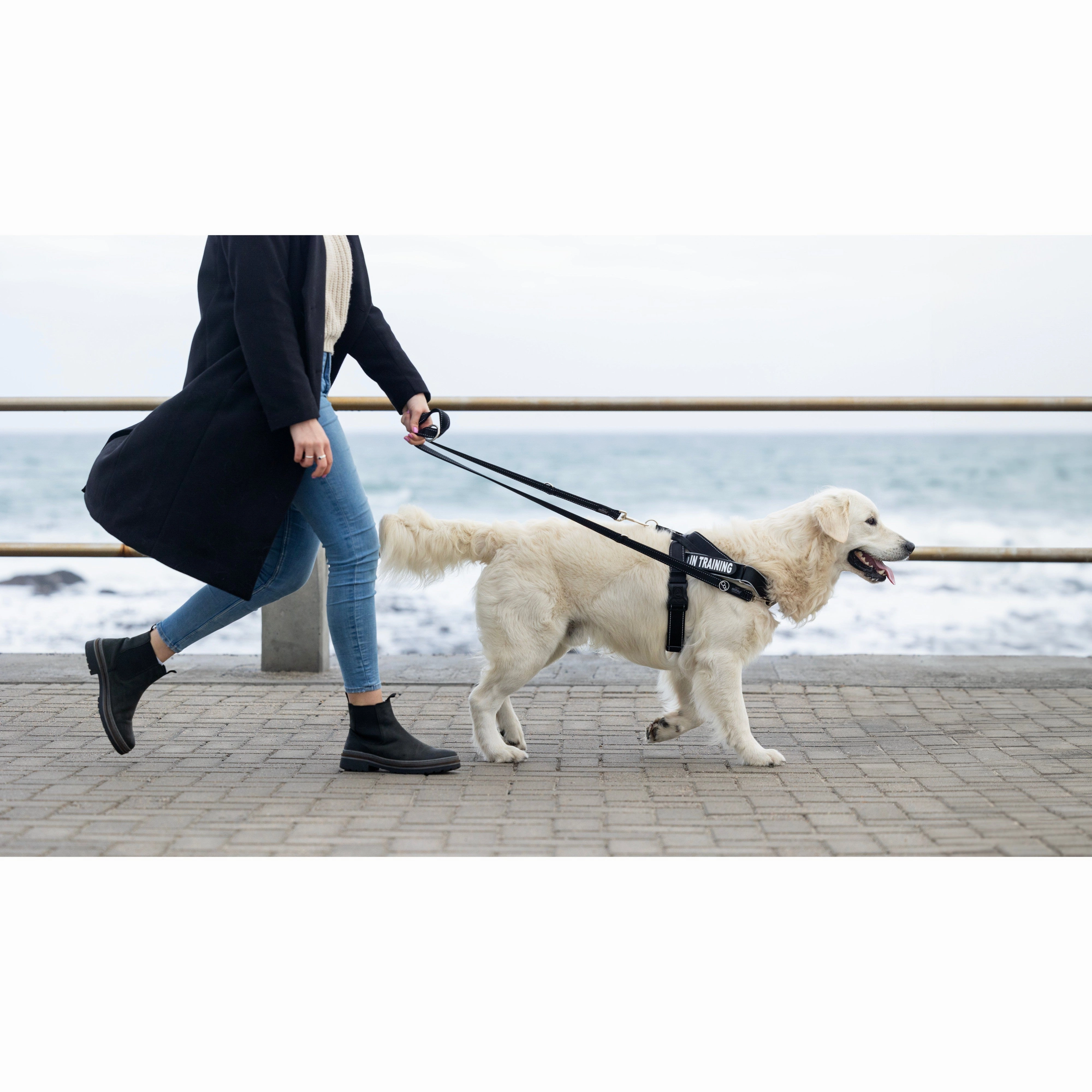 Rogz Utility LetzGo Personalised Harness Black Lge