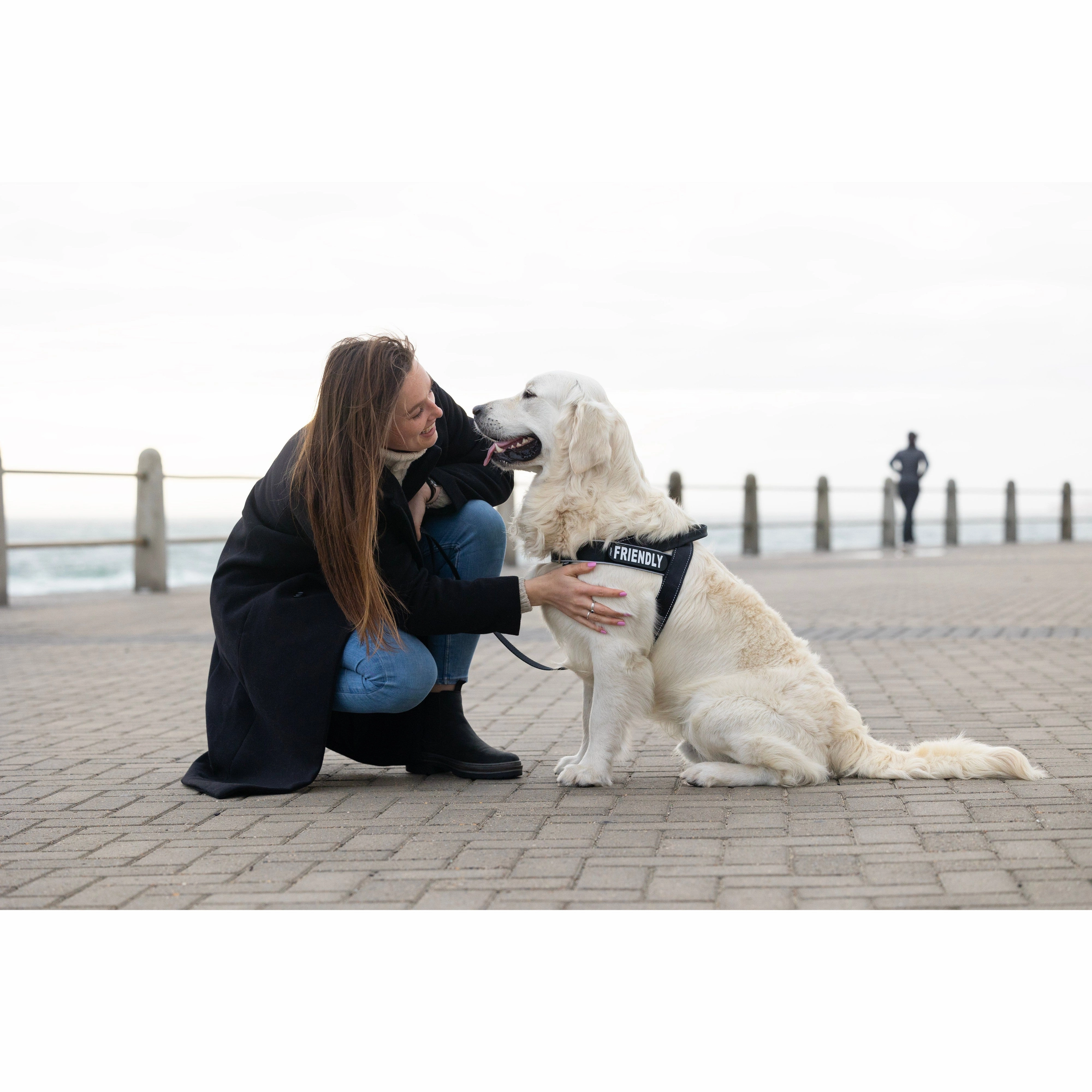 Rogz Utility LetzGo Personalised Harness Black Med