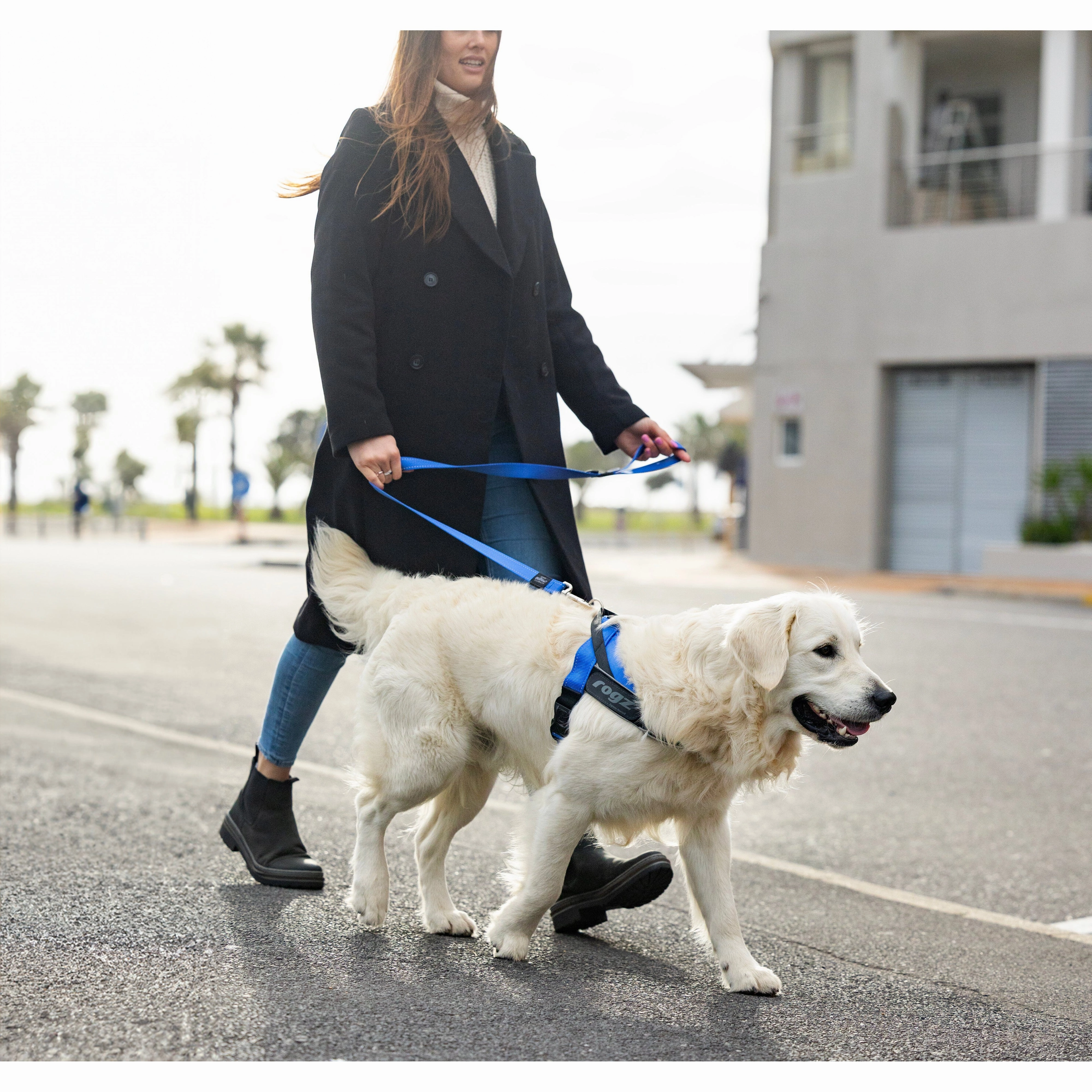 Rogz Utility LetzGo Personalised Harness Blue Lge