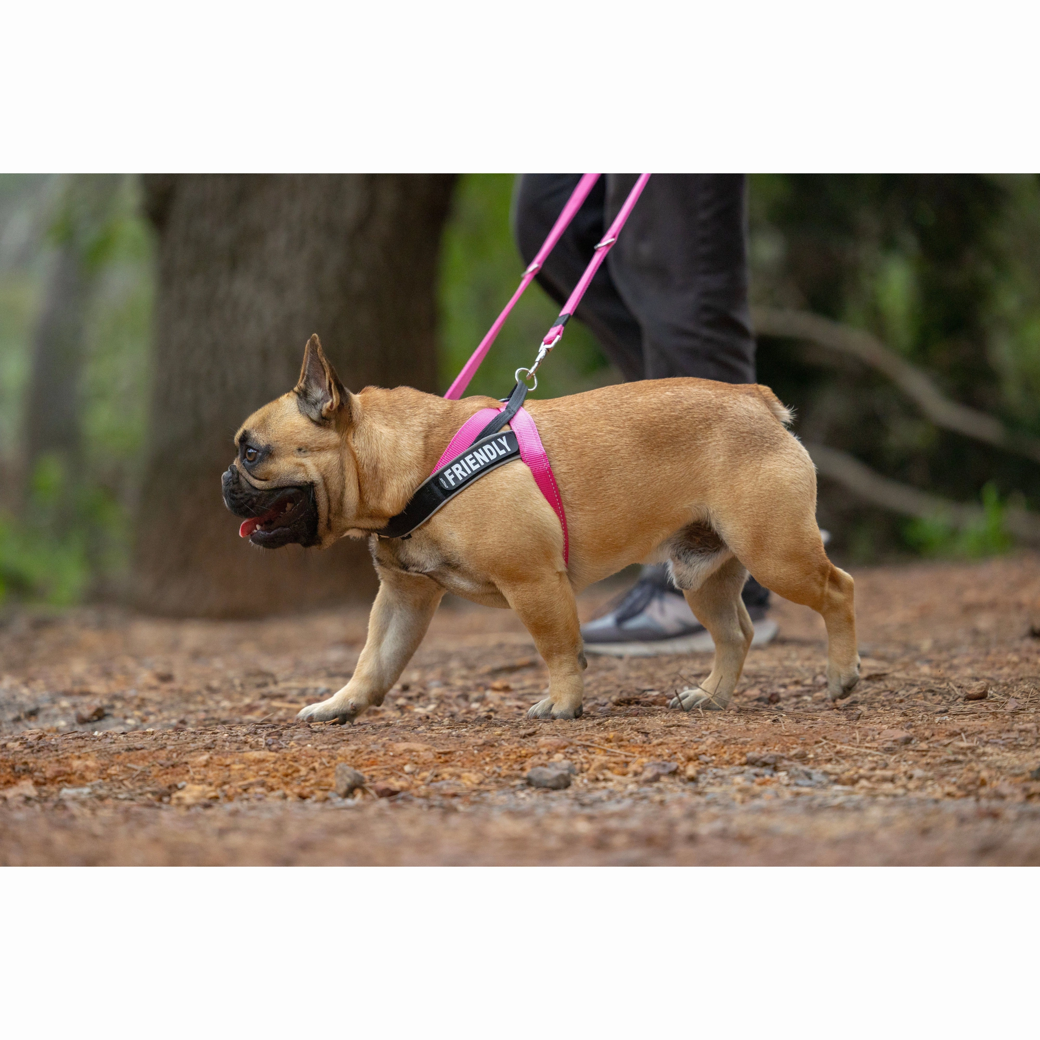 Rogz Utility LetzGo Personalised Harness Pink Sml