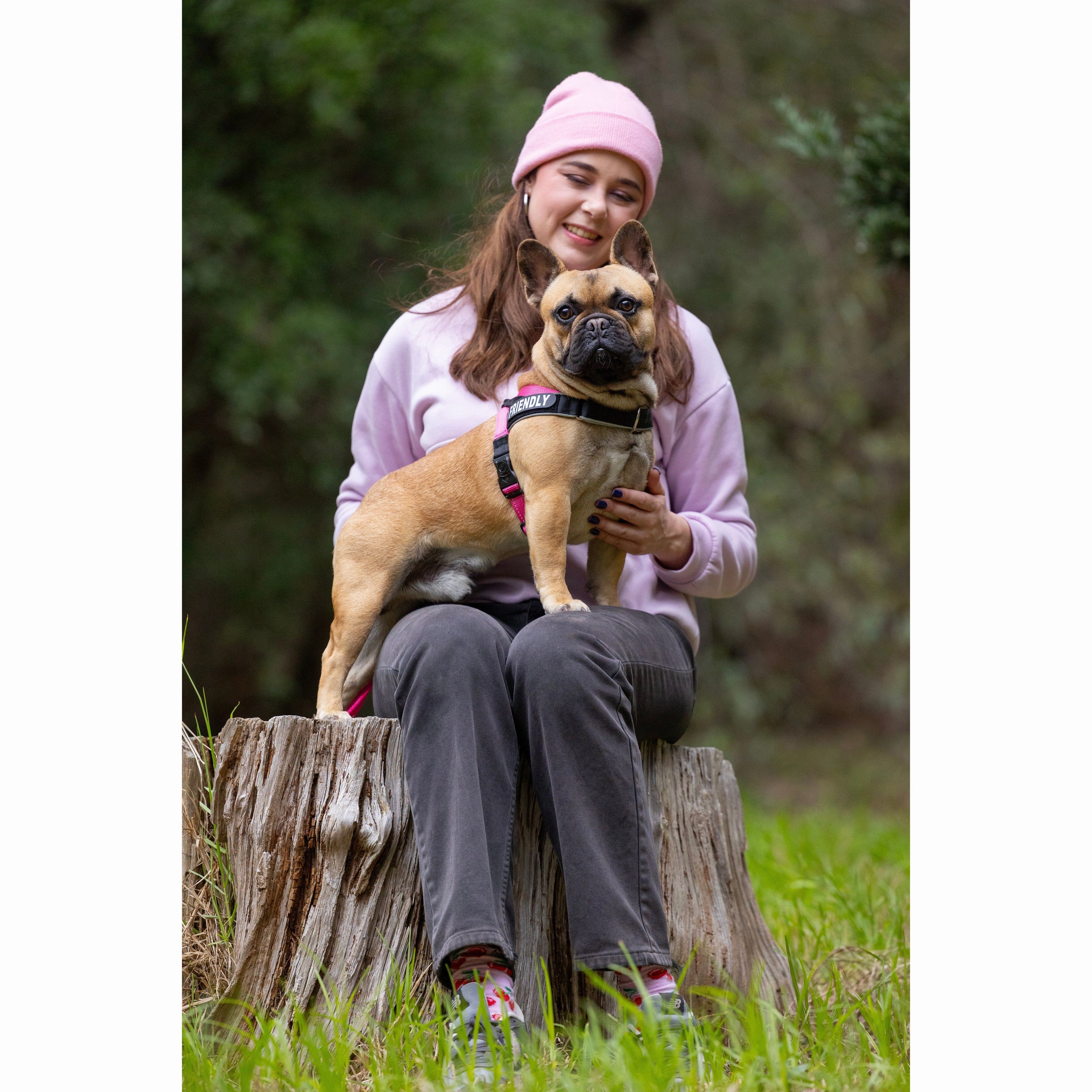 Rogz Utility LetzGo Personalised Harness Pink Sml