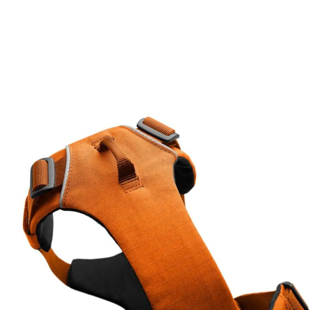 Ruffwear Front Range No-Pull Everyday Dog Harness (Coastal Mountains)