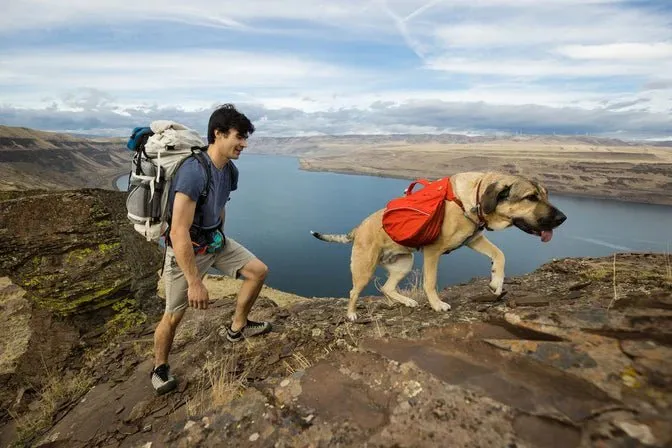 Ruffwear Palisades Pack