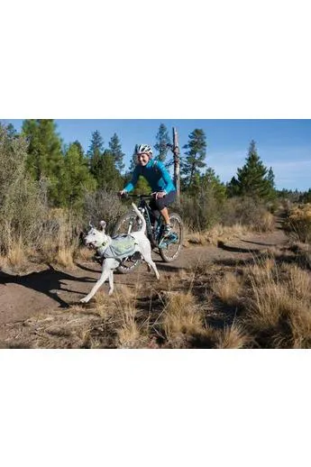 Ruffwear Singletrak Pack