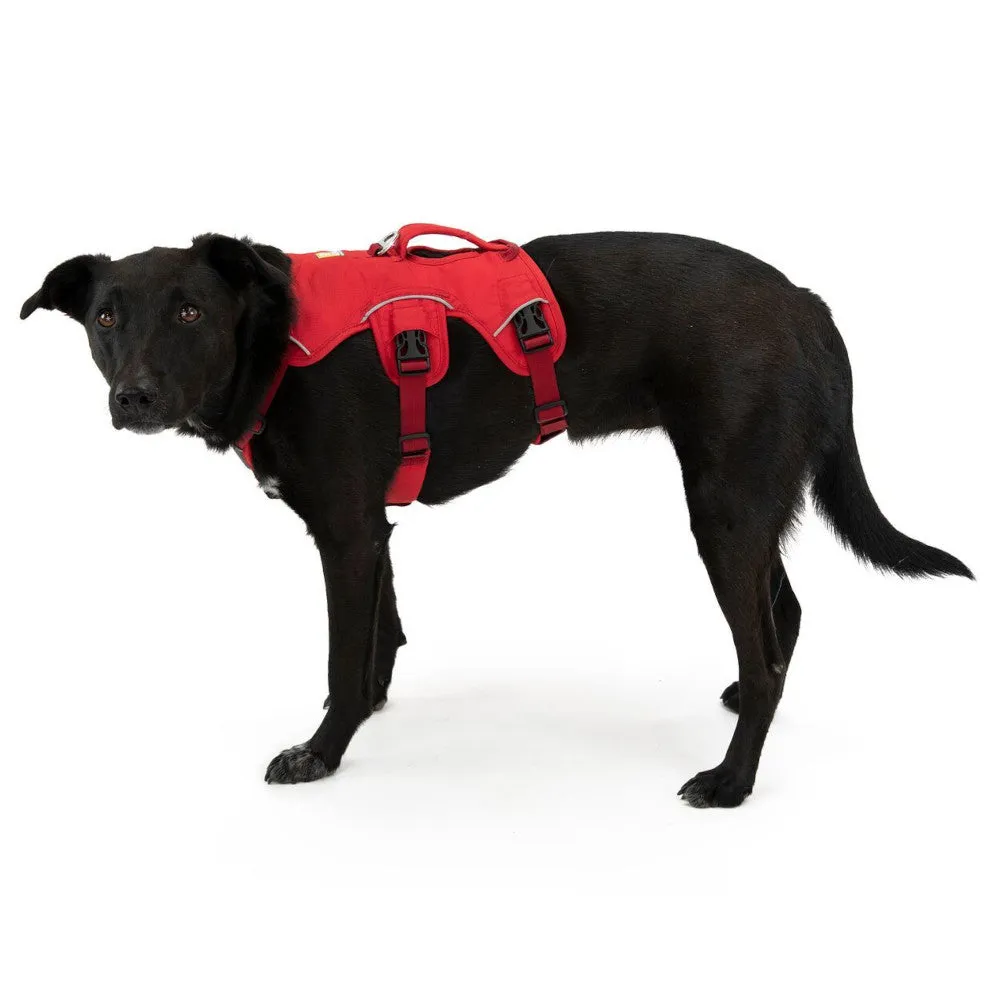 Ruffwear Web Master Secure Multi-Function Handled Dog Harness (Slate Blue)