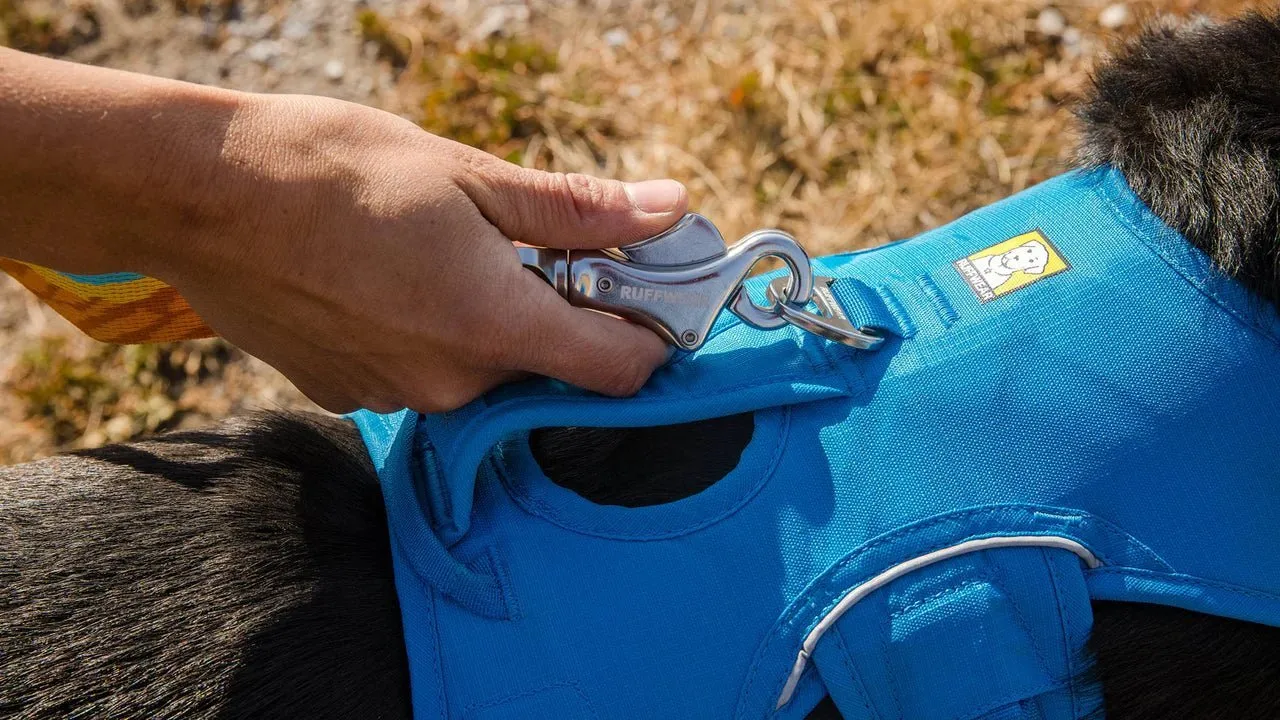 Ruffwear WebMaster Harness