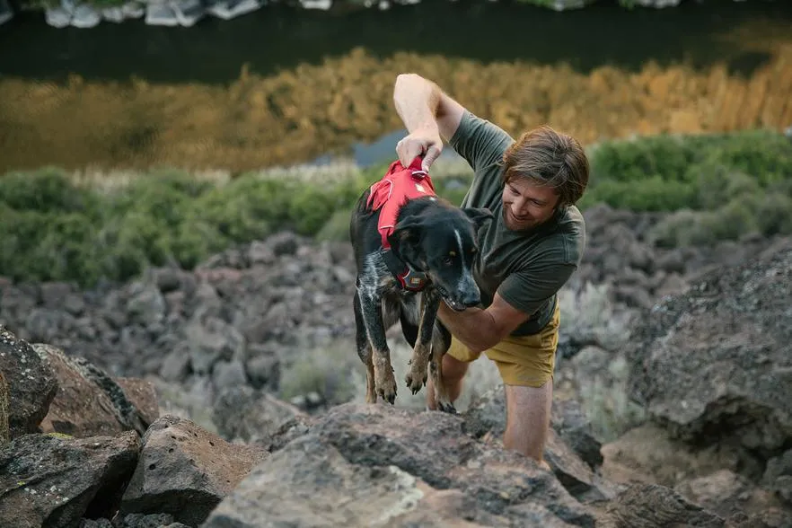 Ruffwear WebMaster Harness