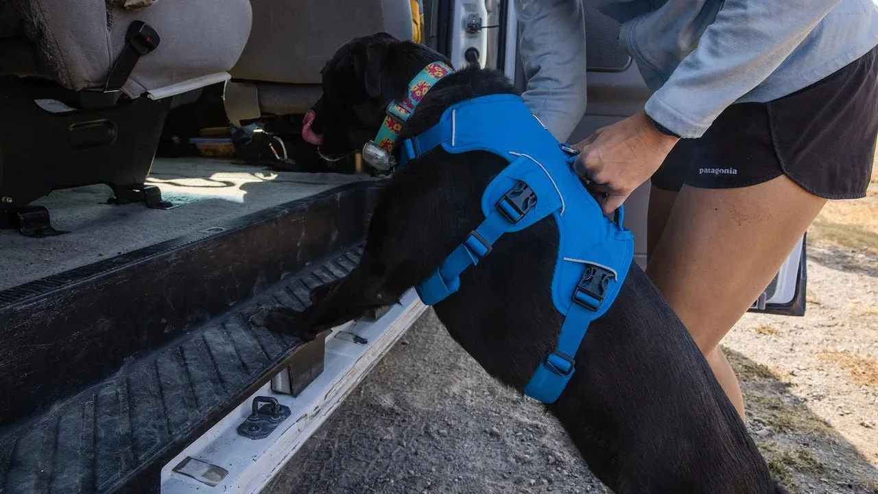 Ruffwear WebMaster Harness