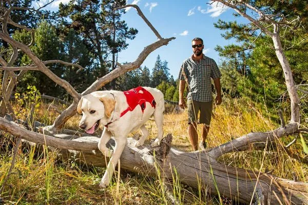 Ruffwear WebMaster Harness