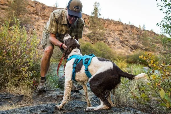Ruffwear WebMaster Harness