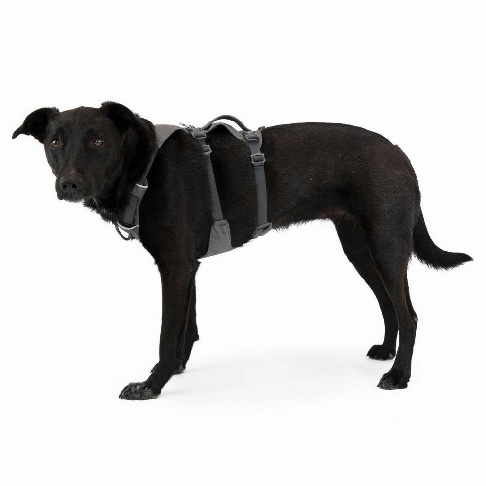 Ruffwear Flagline Lightweight No-Pull Handled Dog Harness (Granite Gray)