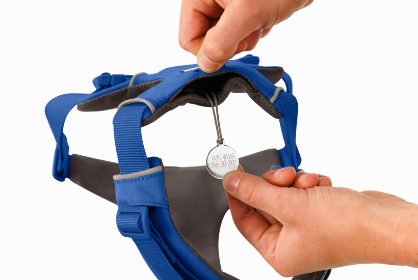 Ruffwear Front Range Dog Harness in Blue Pool