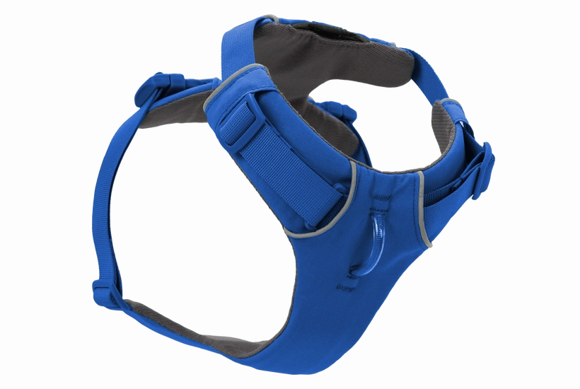 Ruffwear Front Range Dog Harness in Blue Pool