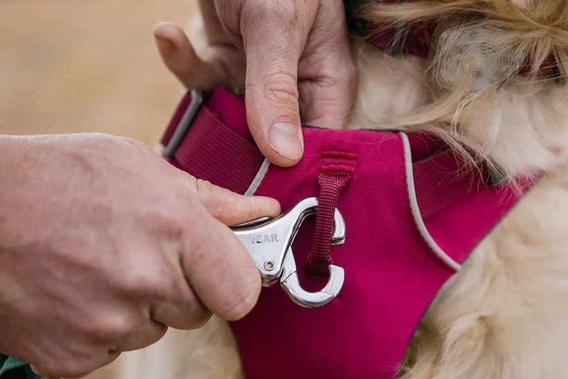 Ruffwear Front Range Padded Dog Harness