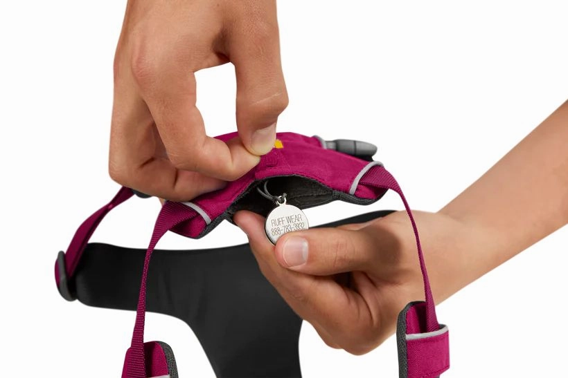 Ruffwear Front Range Padded Dog Harness