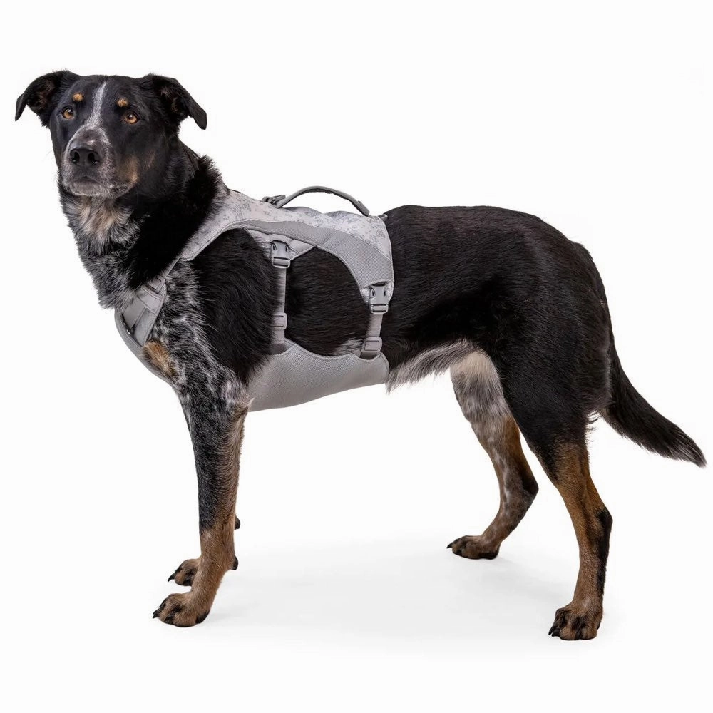Ruffwear Swamp Cooler Cooling Handled Dog Harness (Graphite Gray)