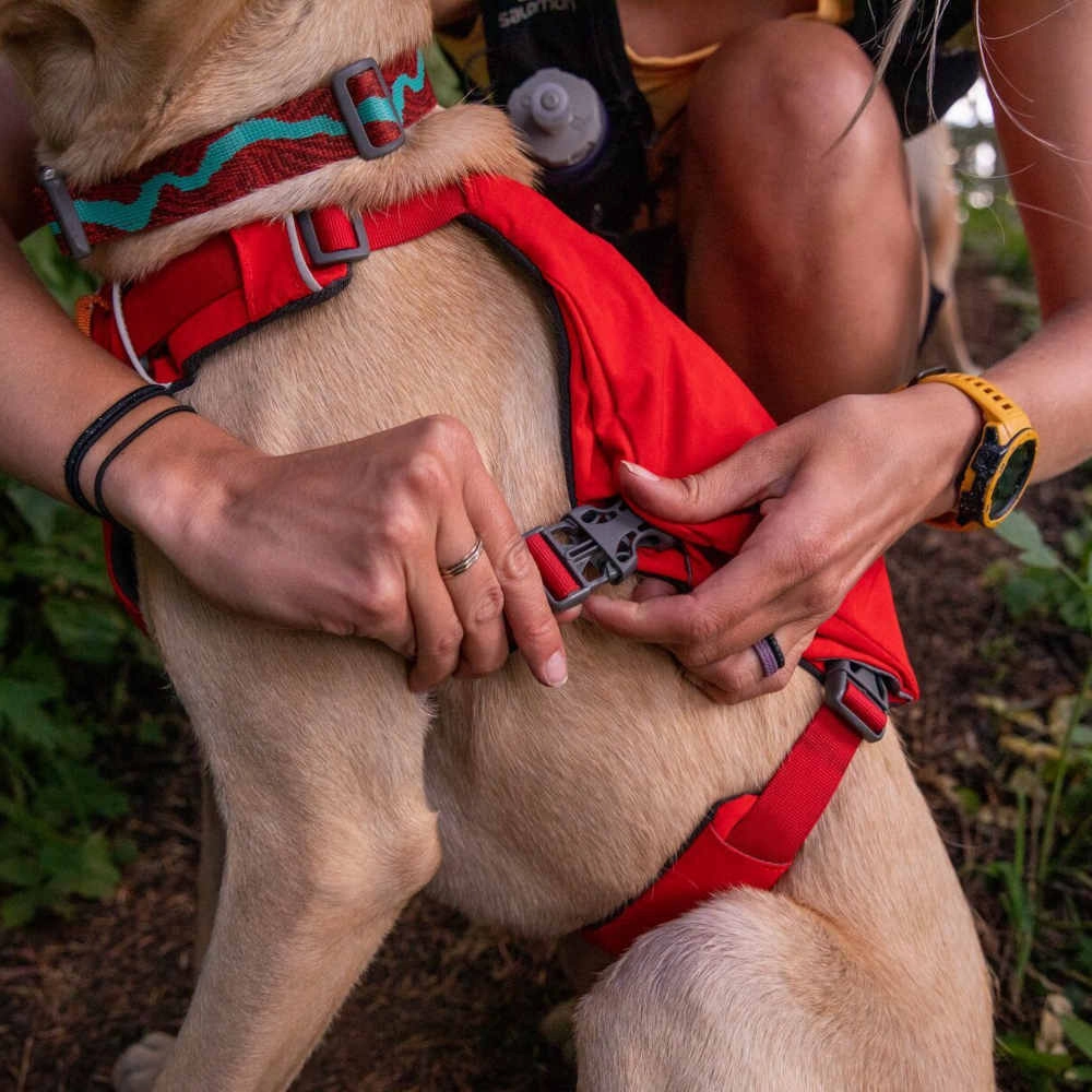 Ruffwear Switchbak Lightweight No-Pull Handled Dog Pack Harness (Red Sumac)