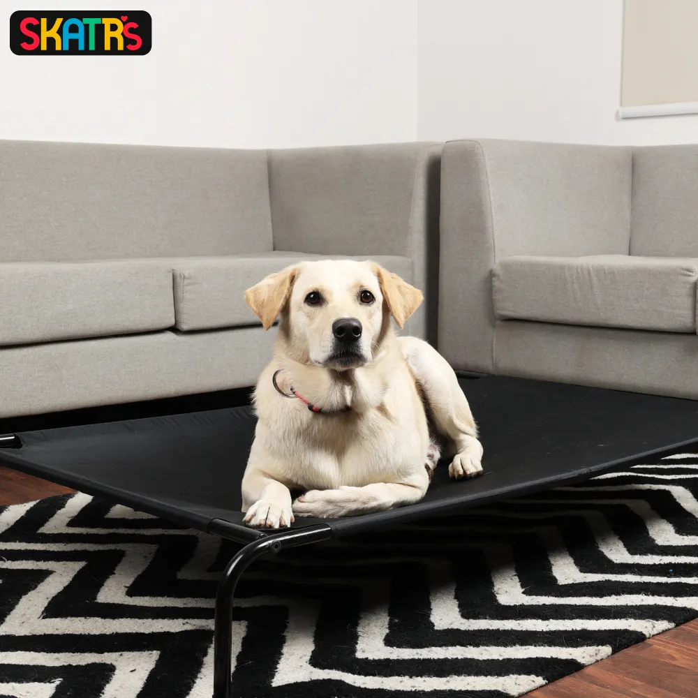 Skatrs Black Elevated Bed & Barkbutler x Fofos Glove Plush Fox Toy Dog Combo